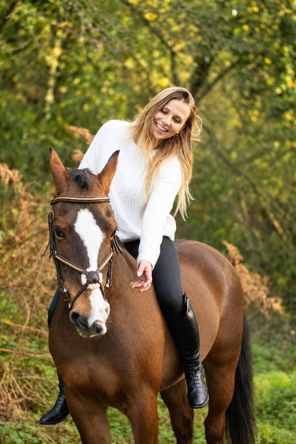 Quarwyn, le poney à l’origine des Crins de Quarwyn