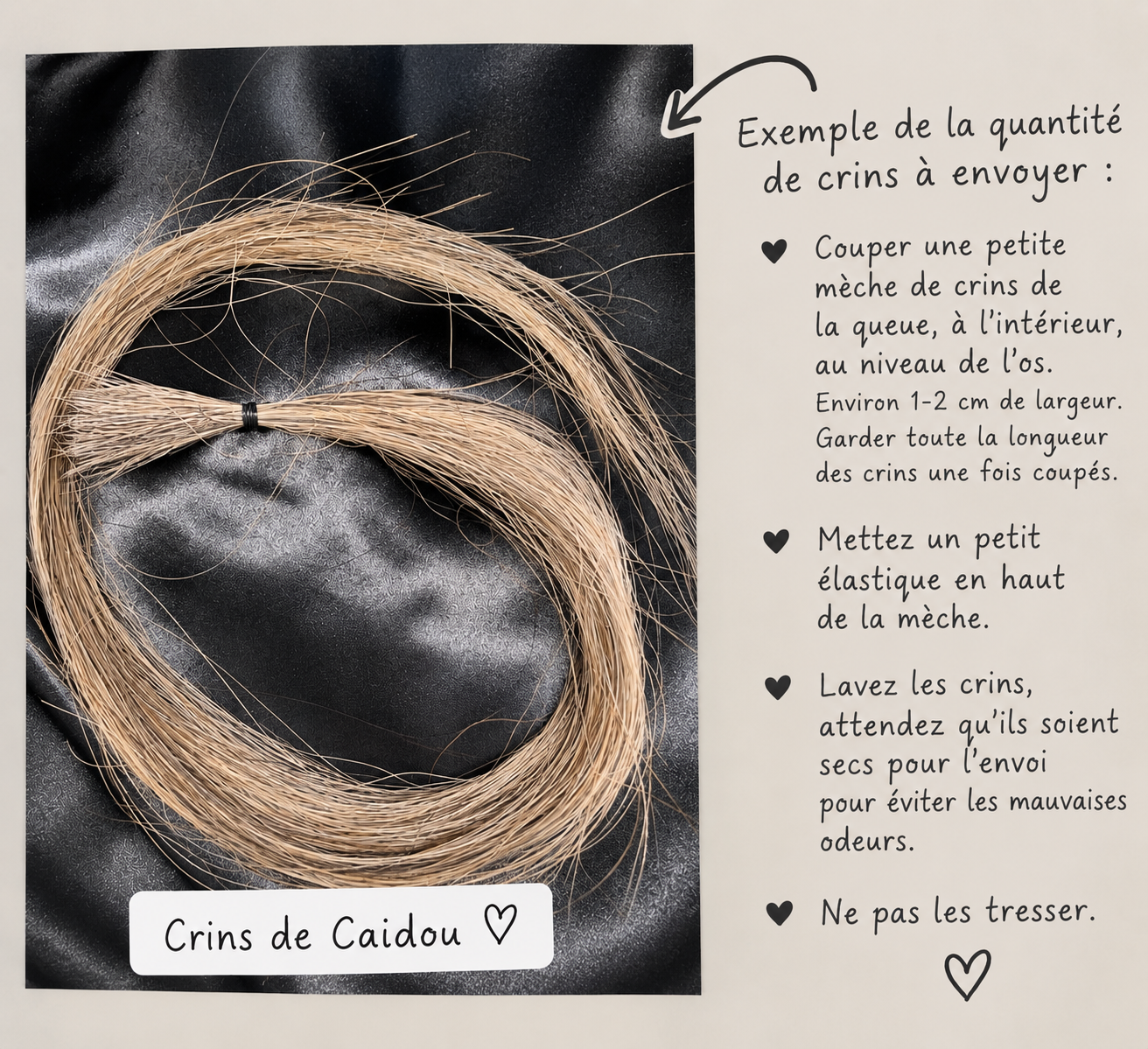 Exemple de la quantité de crins à envoyer, avec les consignes de coupe et de préparation