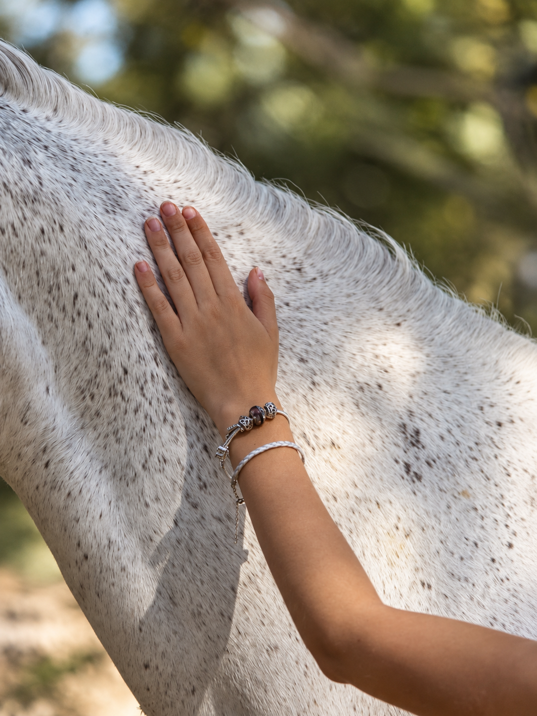 Main posée sur l'encolure d'un cheval gris, portant un bracelet en crins